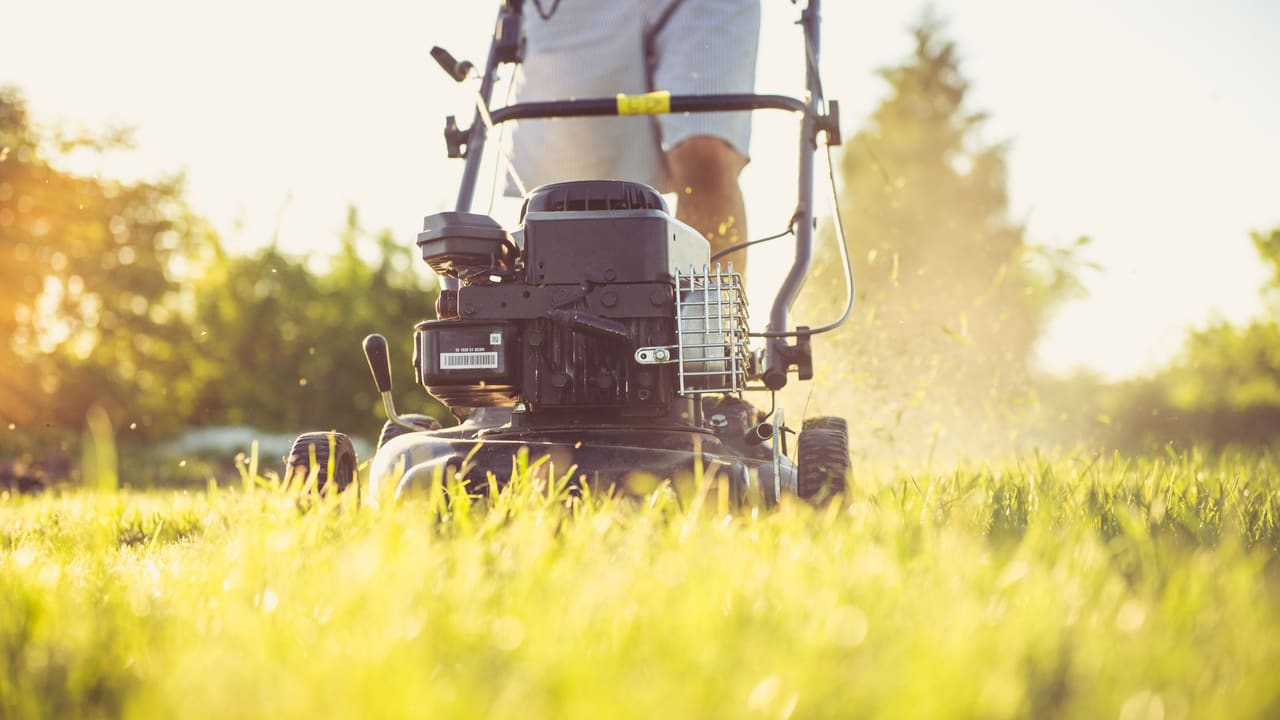 Lawn Care & Maintenance — Tree Services & Landscaping, Holland MI