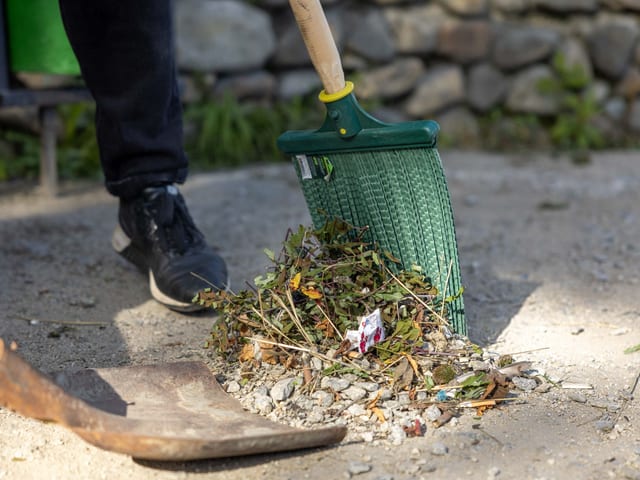 Yard Cleanups